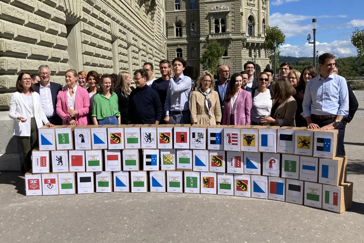 Einreichung Individualbesteuerung