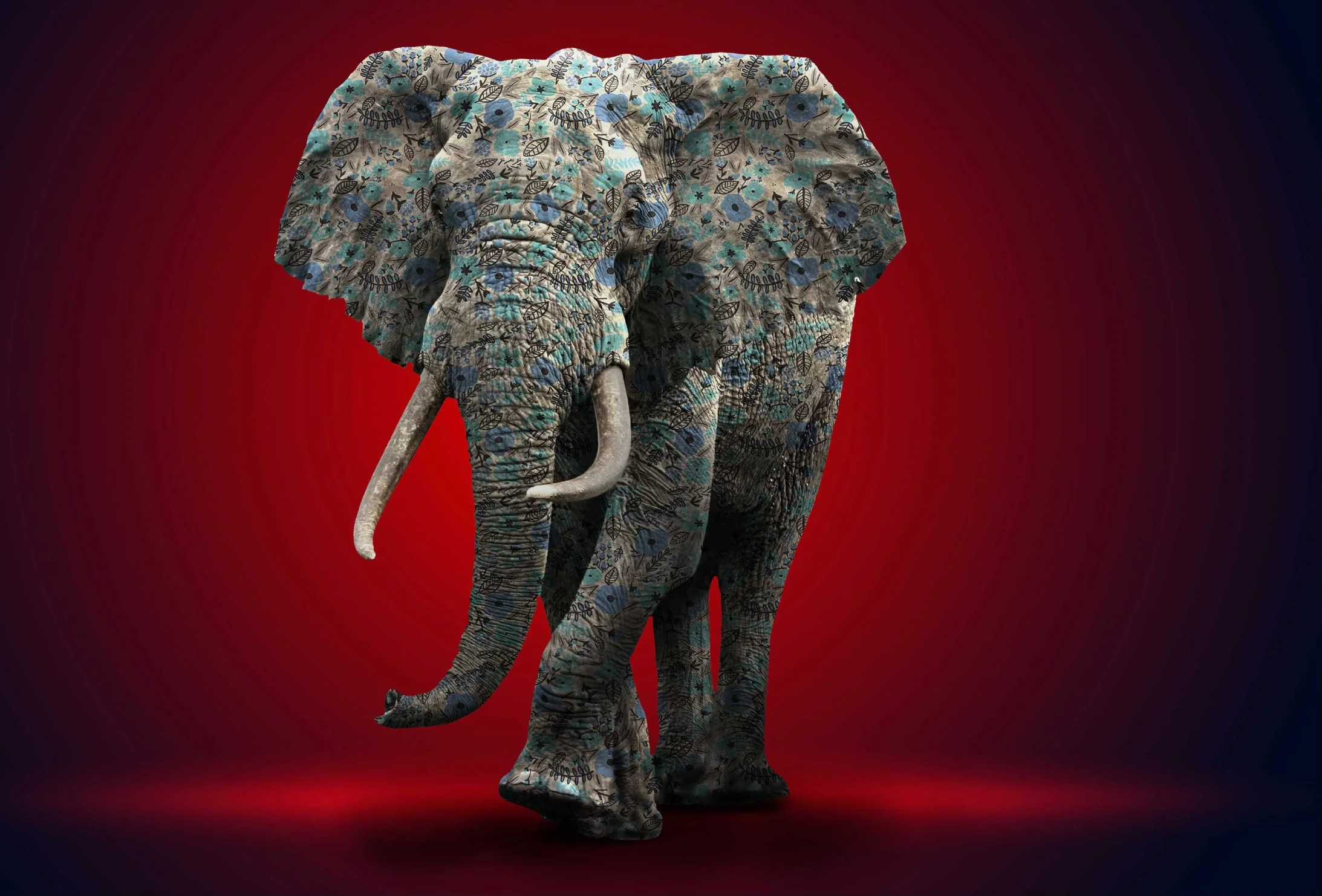 Elefant im Raum