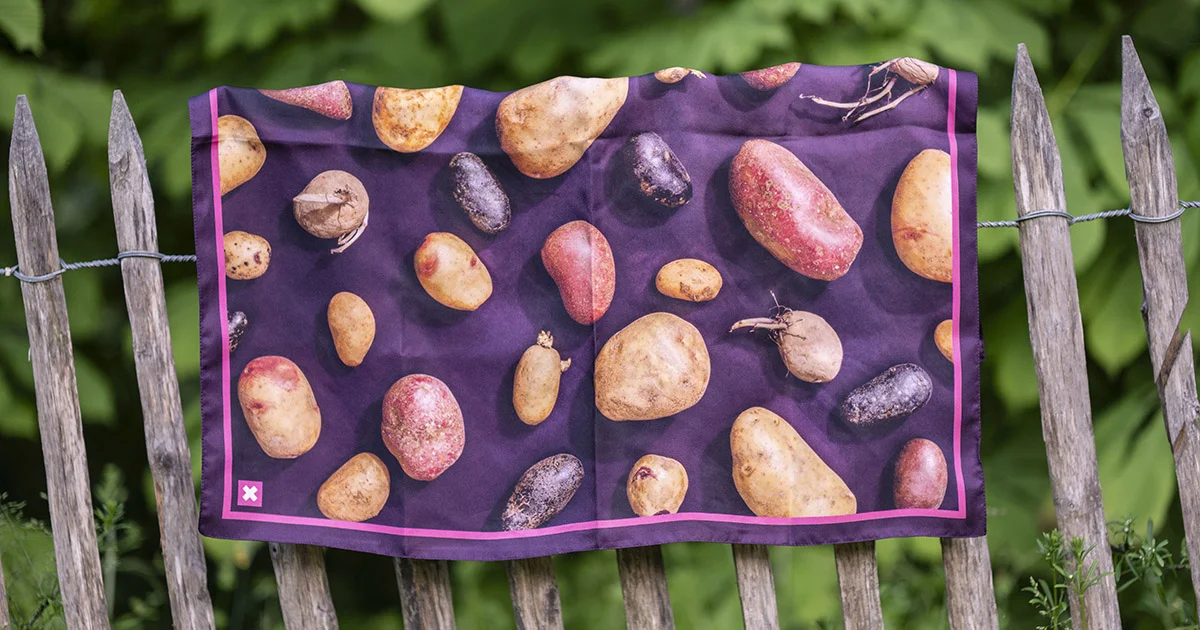 Das Foulard gegen die SVP-Initiative