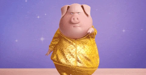 Dancing Pig