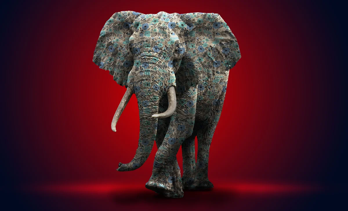 Europa-Elefant der Operation Libero