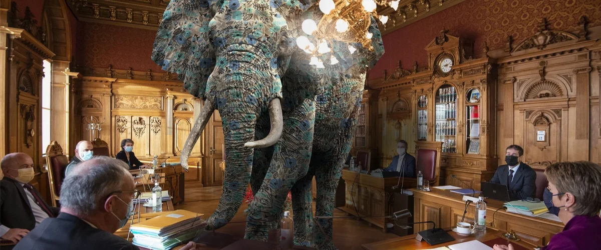 Elefant im Raum