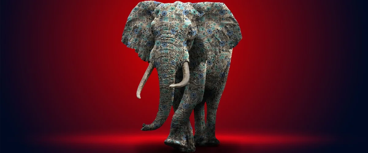 Elefant im Raum