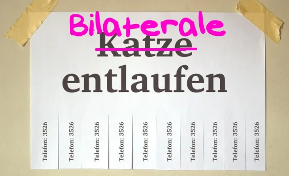 Operation Libero Bilaterale entlaufen