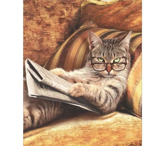 Cat reading Newspaper