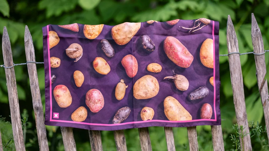 Das Foulard die Stärke der Schweiz