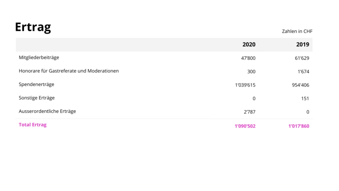 Die Jahresrechnung 2020