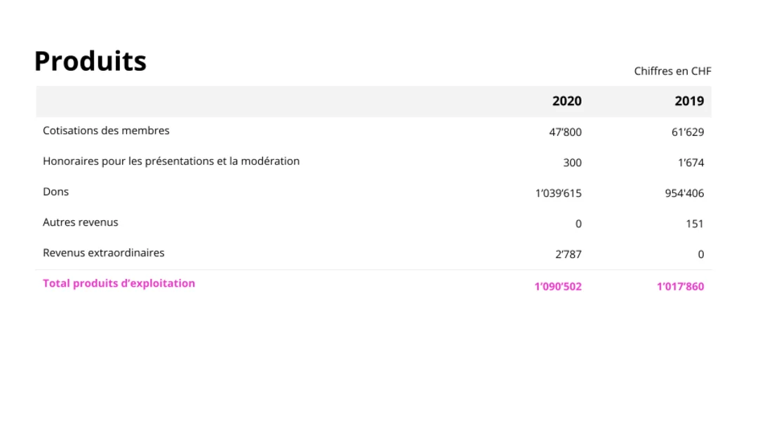 Le rapport financier annuel 2020