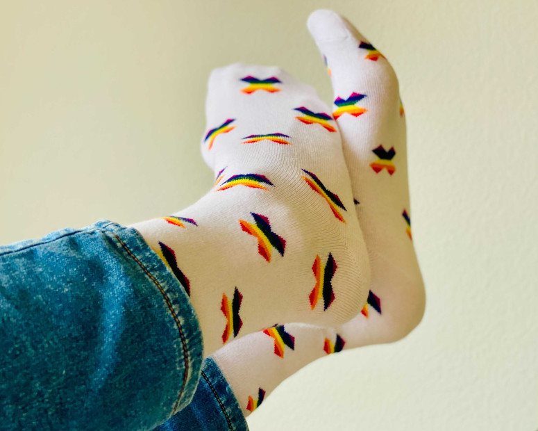 Equality Socks