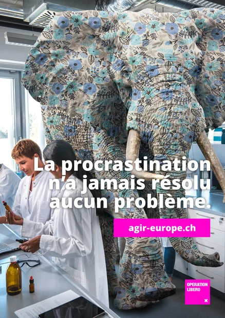 Éléphant dans la pièce Affiche