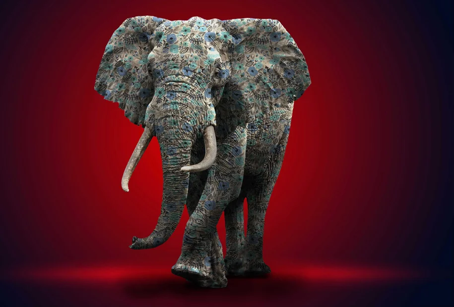 Elefant im Raum