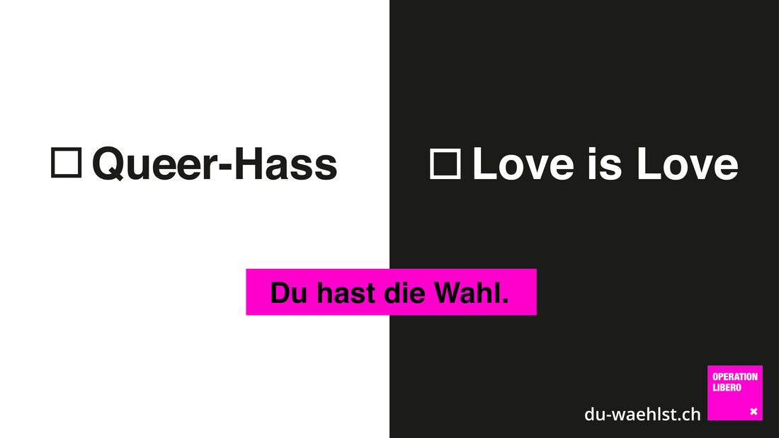 wahlkampagne queer hass love