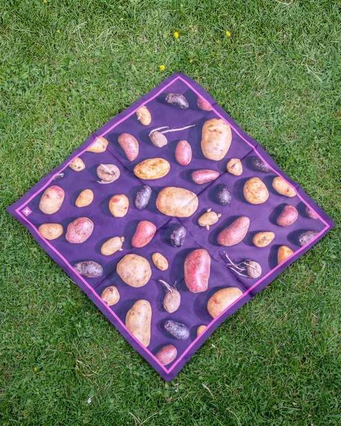 Das Foulard die Stärke der Schweiz