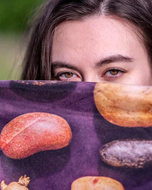 Das Foulard die Stärke der Schweiz