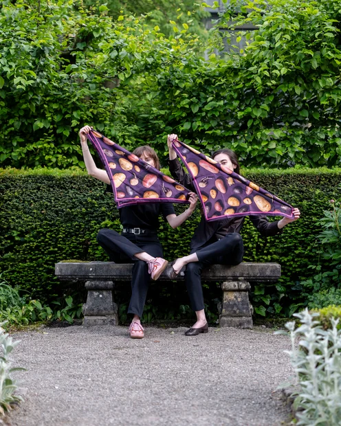 Das Foulard die Stärke der Schweiz