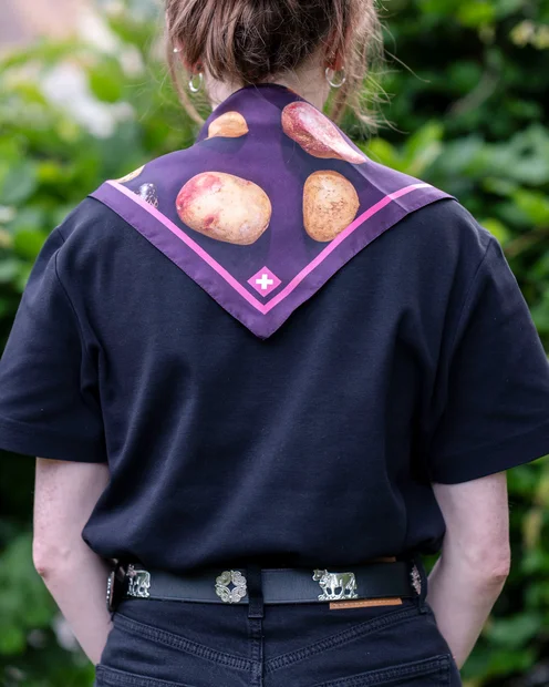 Das Foulard die Stärke der Schweiz