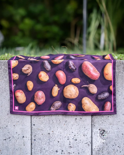 Das Foulard die Stärke der Schweiz