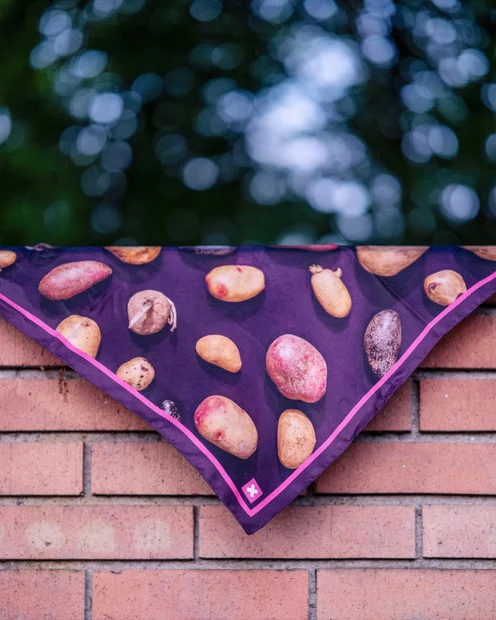 Das Foulard die Stärke der Schweiz