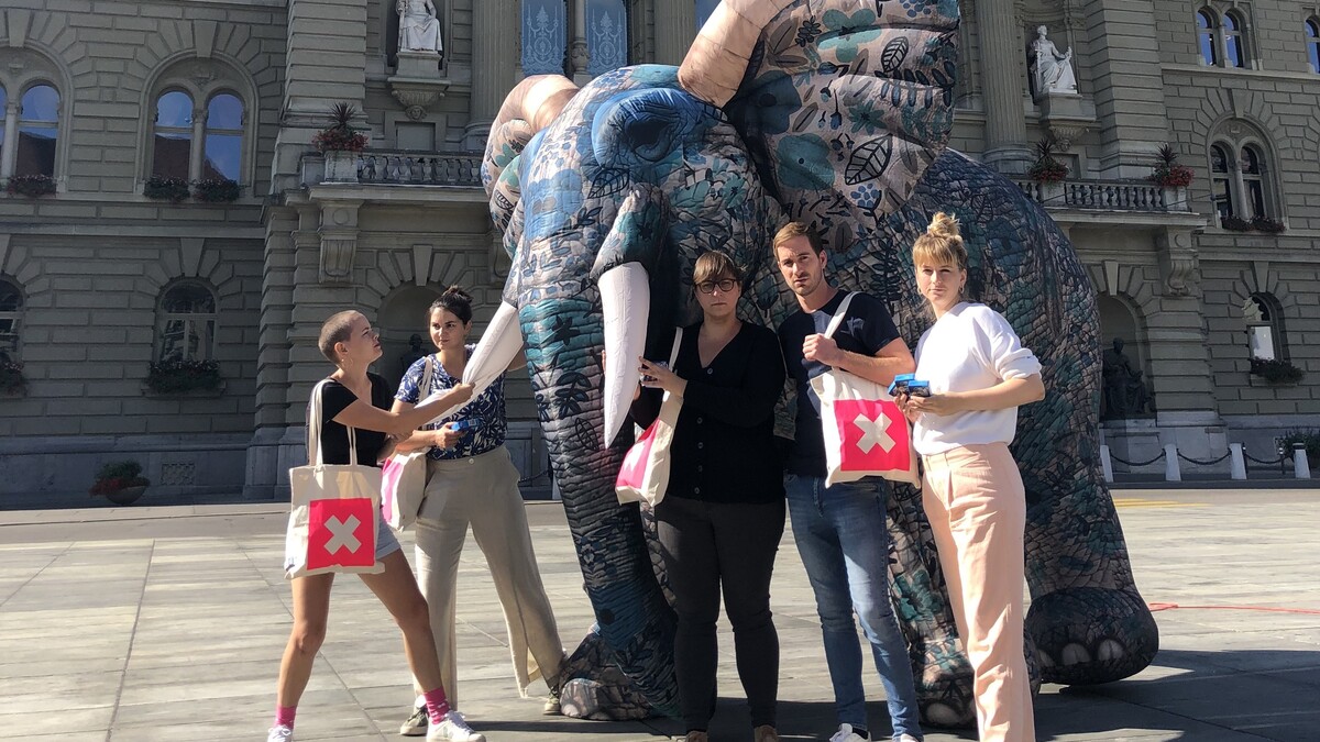Europafant in Bern