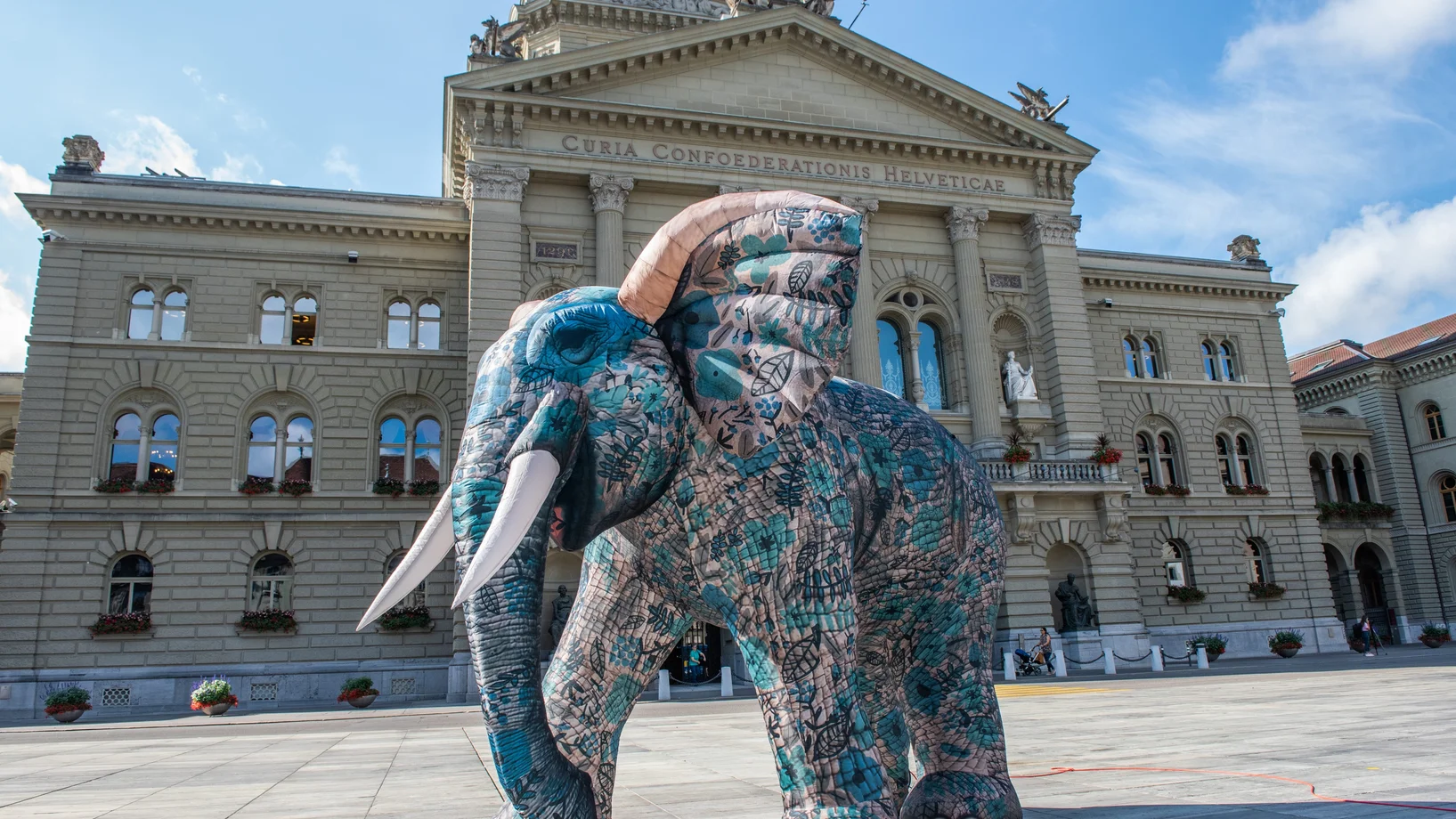 Due Europapolitik ist der Elefant im Raum