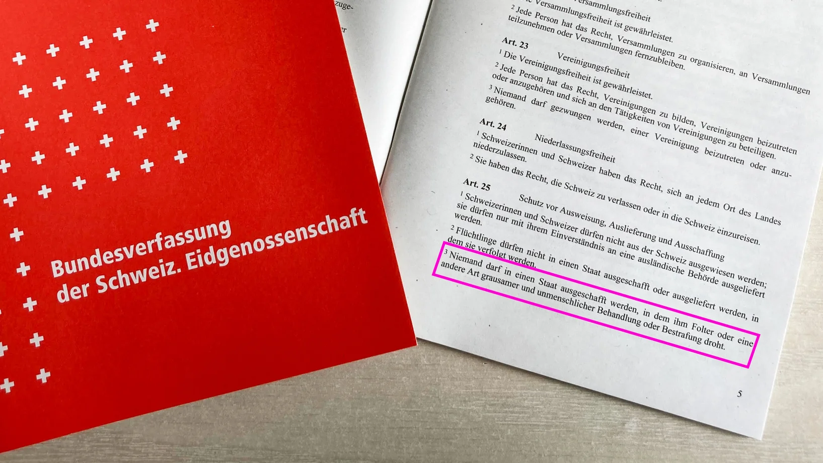 Die "Grenzschutz-Initiative" muss als ungültig erklärt werden